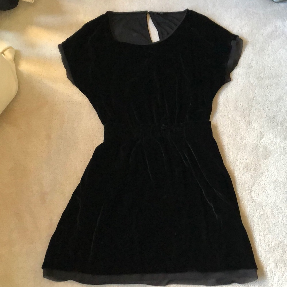 Velvet Aritzia  dress !